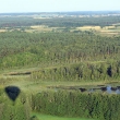 43. Elk